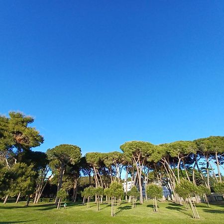 Family Apartments Zadar - Ryanair Exclusive Esterno foto