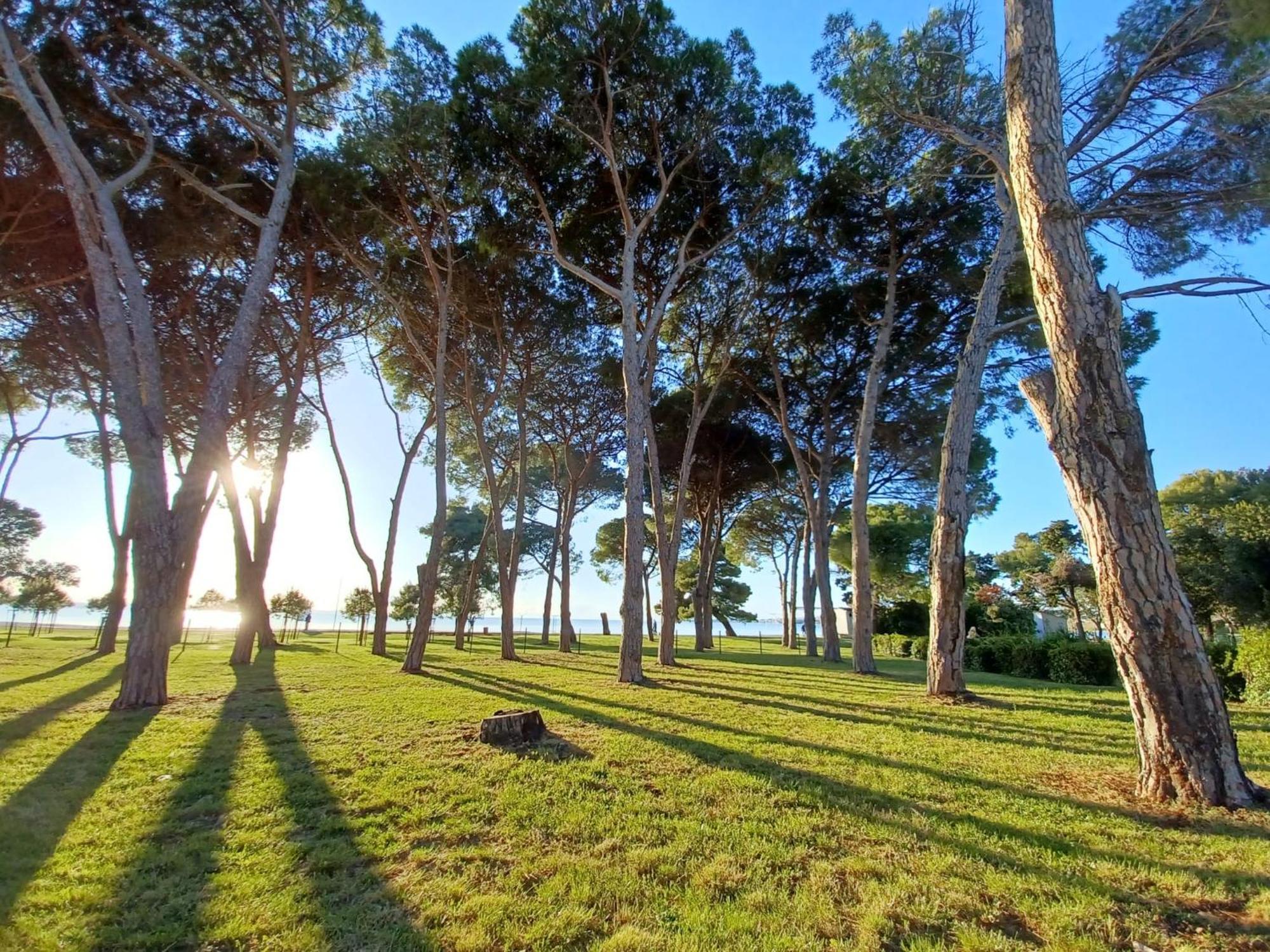 Family Apartments Zadar - Ryanair Exclusive Esterno foto